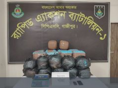 গাজীপুরে র্যাবের অভিযানে ১১৮ কেজি গাঁজাসহ নারী মাদক কারবারি গ্রেপ্তার